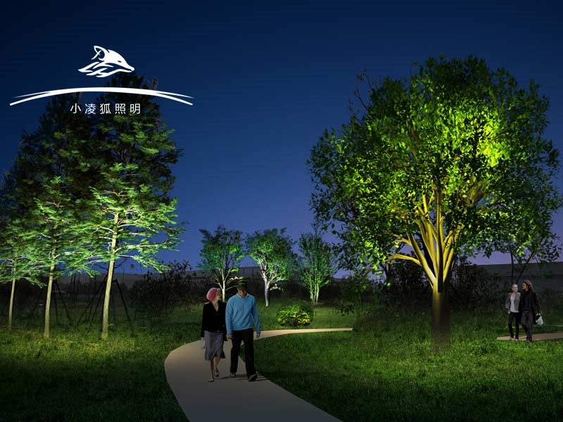 小凌狐照明亮化效果图+城市公园，打造沉浸式生态光影秘境